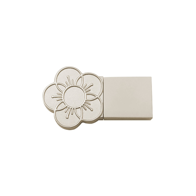 Personalizza il logo della copertina Metal Usb Stick 2g 2.0 Port