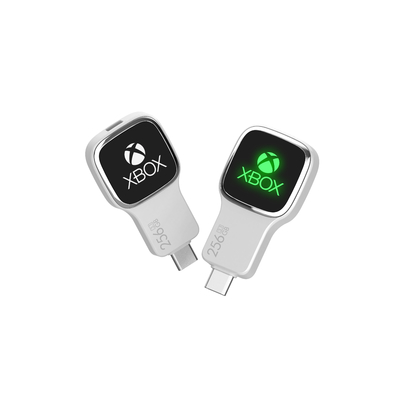 13G Peso netto TYPE C USB Flash Drive Migliorare la vostra esperienza di gestione dei dati
