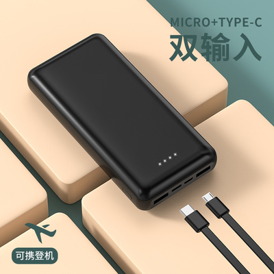 Power Bank portatile con porte di ingresso Micro USB e Tipo C per smartphone