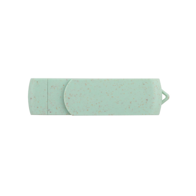 Password Supported Custom Logo Tipo C USB Flash Drive per l'archiviazione di massa e l'upload di dati