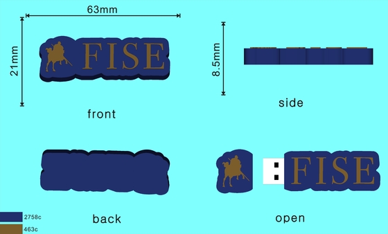 Forme personalizzate Memoria flash USB Produzione di PVC o silicone facilitata con la muffa aperta