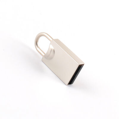 Stampa logo Supporto Chiavetta USB in metallo Test dei chip al 100% superato H2 Testato Mini USB elegante di facile accesso