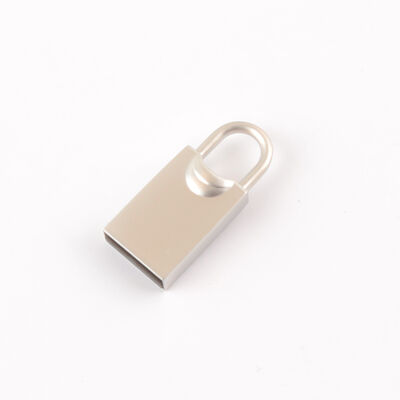 Stampa logo Supporto Chiavetta USB in metallo Test dei chip al 100% superato H2 Testato Mini USB elegante di facile accesso