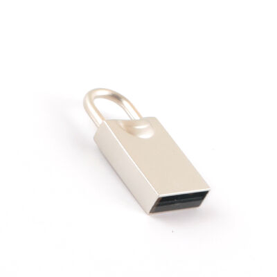 Stampa logo Supporto Chiavetta USB in metallo Test dei chip al 100% superato H2 Testato Mini USB elegante di facile accesso