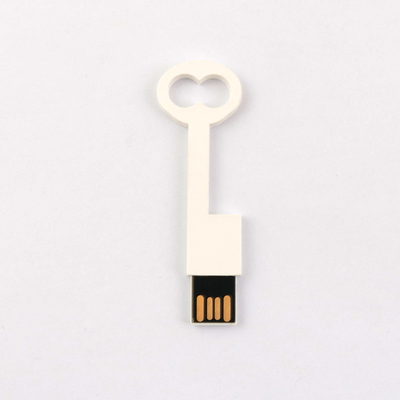 Si conforma la chiavetta USB chiave di plastica standard 2,0 64GB 128GB 50MB/S di Europa