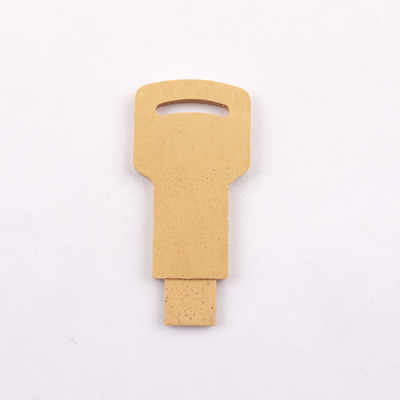 Azionamenti istantanei di Straw And Plastic 128gb, memory stick del Usb 2,0 dei materiali riciclabili