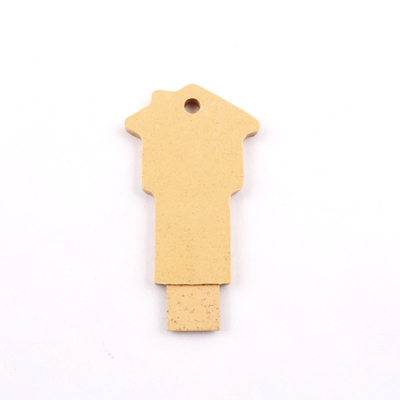 Ricicli la chiavetta USB materiale 64GB 128GB con il certificato di GRS