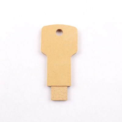 Ricicli il materiale ha passato a certificazione di UKCA il bastone di plastica del Usb 2,0 20MB/S 128GB 64GB